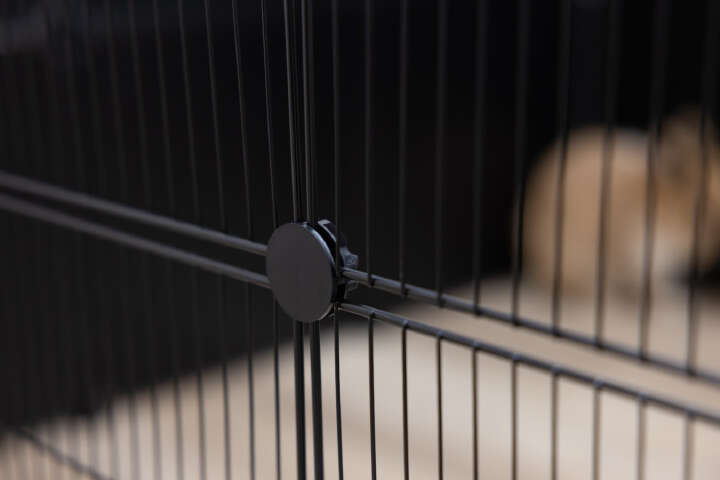 KERBL Freilaufgehege Hopsi